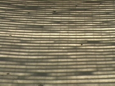 ALISON CROCETTA GONE / EMPTY 