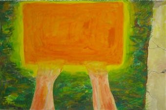 Amanda Lechner Works on Paper: 2009-2010 Graphite, Gouache on Paper