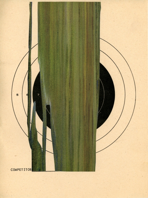                                 a     n     d     r     e     w            z     a     r     o     u 2010 cut, printed paper on printed paper
