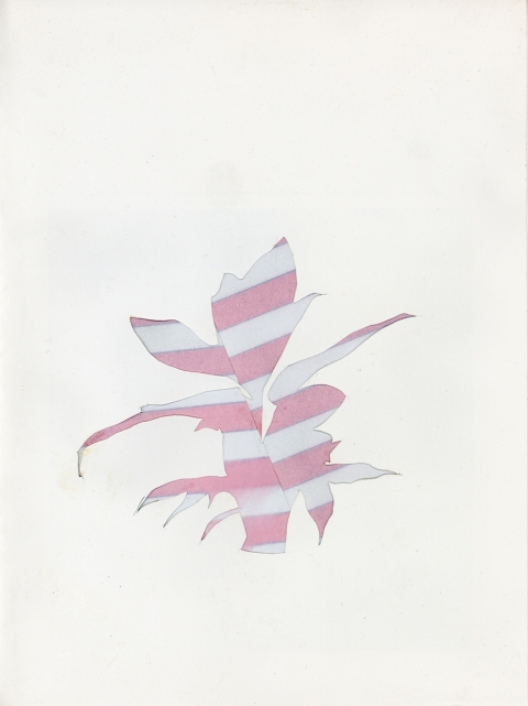                                 a     n     d     r     e     w            z     a     r     o     u 2010 cut, spray-painted paper on spray-painted, printed paper