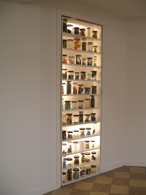                                 a     n     d     r     e     w            z     a     r     o     u 2011 66 glass jars, found material, plywood shelving + glassine