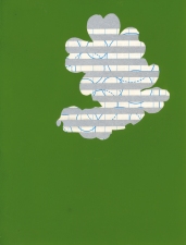                                 a     n     d     r     e     w            z     a     r     o     u 2010 cut, spray painted paper on spray-painted printed paper