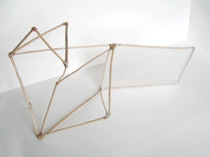                                 a     n     d     r     e     w            z     a     r     o     u 2011 wood, plastic, copper wire + liquid nails