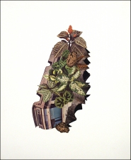                                 a     n     d     r     e     w            z     a     r     o     u 2006 paper collage on paper