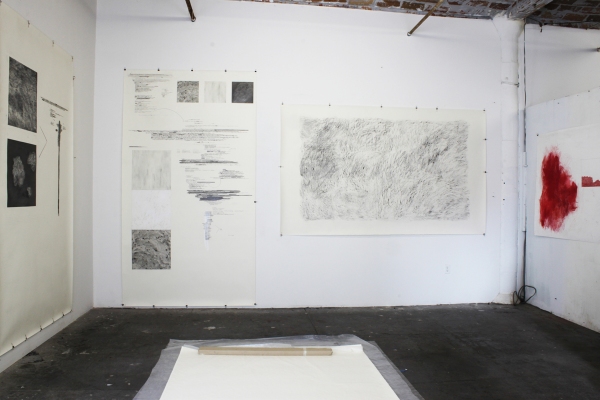 Anne Gilman Current Drawings pencil, pastel, charcoal, crayon, ink