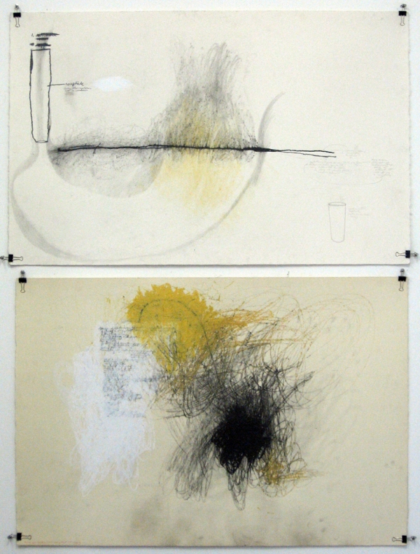 Anne Gilman Bad day/good day pencil, pastel and charcoal on paper