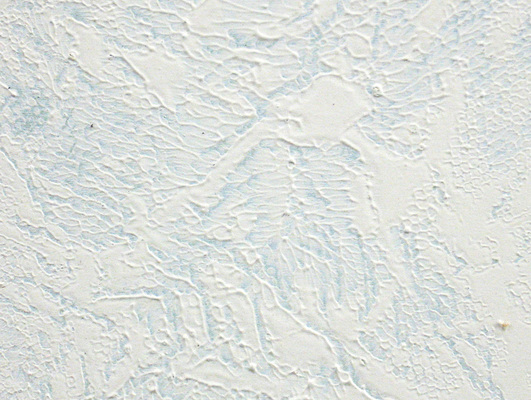Anne Gilman Points of Error acrylic paint and gesso on wood