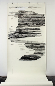 Anne Gilman Observations, errors, + corrections pencil, pastel, graphite on rolled paper
