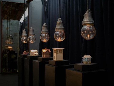 Install view of "Narcissistic Excess" Installation Views