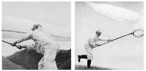 Reversing Extinction I, II, III and IV Doomed Explorer Drawings graphite on paper