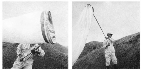 Reversing Extinction I, II, III and IV Doomed Explorer Drawings graphite on paper