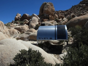 CONNIE WALSH Wagonstation 