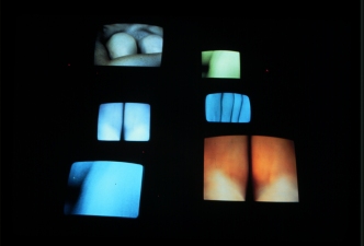 CONNIE WALSH Flesh 