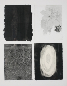 Constance Kiermaier Prints Monotype Collage
