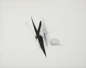 Constance Kiermaier Drawings 