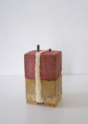 David McDonald Tiny Histories Hydrocal, Wood, Plaster Gauze, Pigment, Rebar