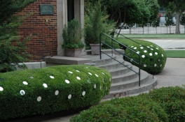 Dean Ruck Site Works hedge, mirrors