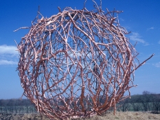 Dean Ruck Site Works collaboration with Debbie McNulty