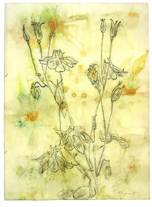 Debbie Schmitt Plant life Drypoint on plant dyed Arches Text Wove paper