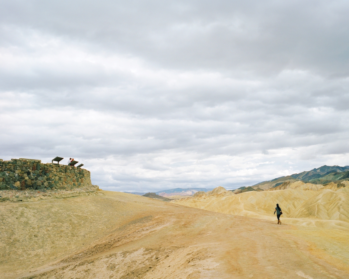 Donna J. Wan In the Landscape 