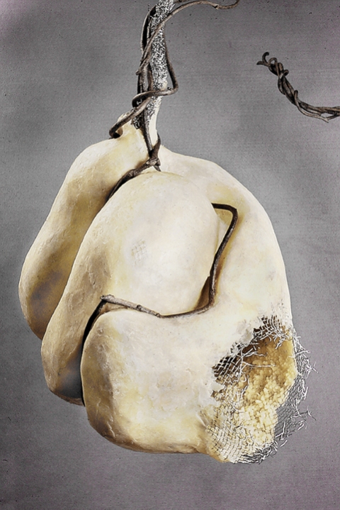Elaine Lorenz Mixed Media Aluminum Mesh, Vines, Beeswax