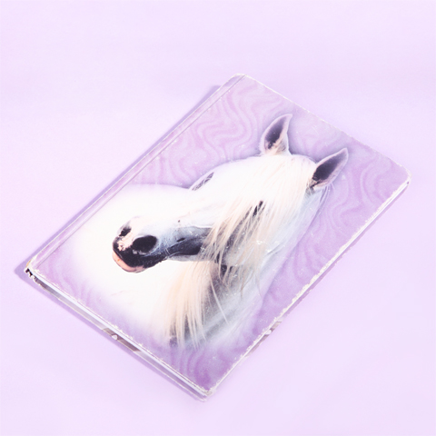  LISA FRANK BLUES Cprint