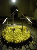 Elizabeth Duffy Works from 1999-2004 yellow scouring pads, aluminum