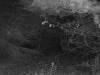  Photography Photo