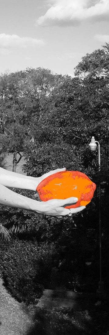 Jessica F. Hirst Trauma Processing - Papaya Drop 