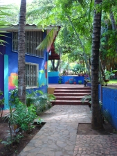 Jessica F. Hirst Casa Crearte house, paint, plants