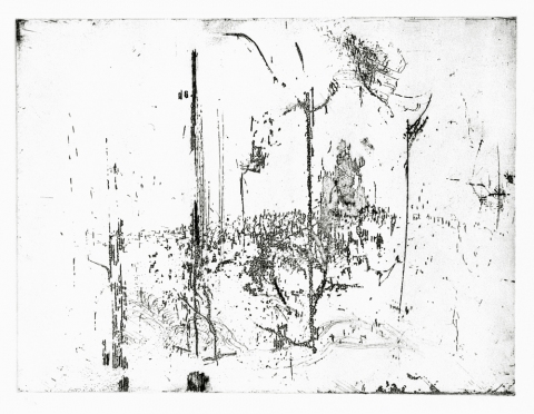 jennifer leigh caine Prints intaglio
