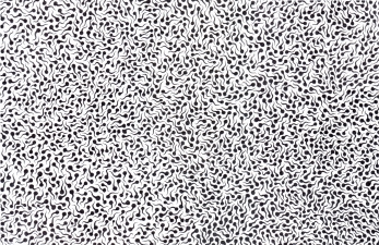 John Weston Scopophilia Ink on Paper