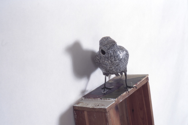 Juan-Carlos Perez Conversaciones-Bird Series 