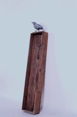 Juan-Carlos Perez Conversaciones-Bird Series wood, polymer, plastic, pencil and egg tempera