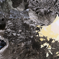  painting Acrylic, sumi ink, woodcut, collage on paper