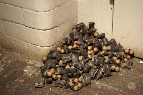 Untitled (Acorns Diptych) sculpture. bicycle innertubes, thread, acorns