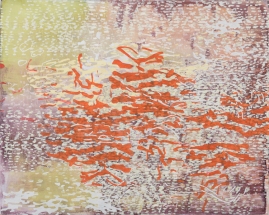 Laura Fayer  acrylic and rice paper on canvas