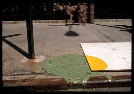 Laura Sue Phillips abstraction for dogs acrylic on plywood