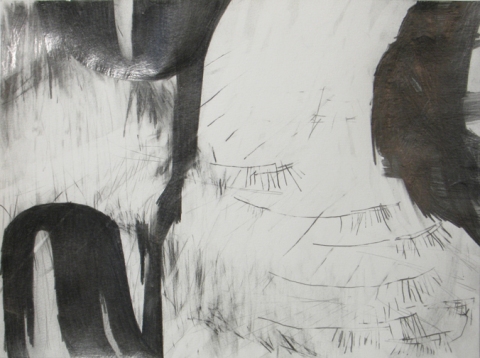 Lisa  Hamilton pencil drawings pencil