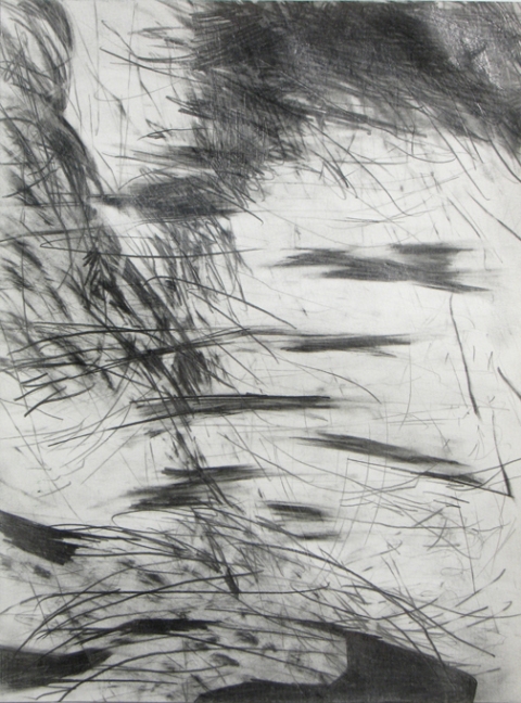 Lisa  Hamilton pencil drawings pencil