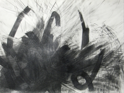 Lisa  Hamilton pencil drawings pencil