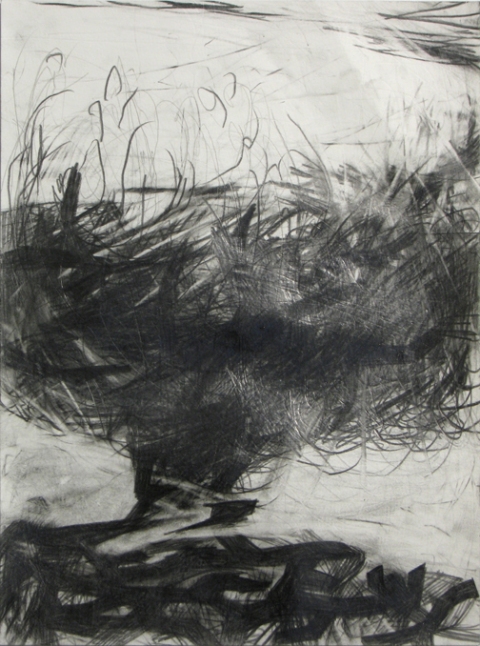 Lisa  Hamilton pencil drawings pencil