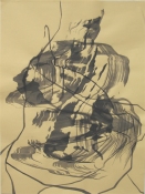 Lisa  Hamilton ink drawings ink on paper