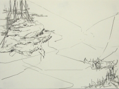Lisa  Hamilton pencil drawings pencil