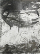 Lisa  Hamilton pencil drawings pencil
