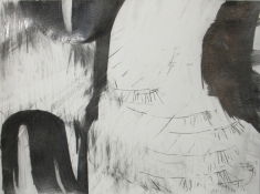 Lisa  Hamilton pencil drawings pencil