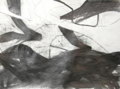 Lisa  Hamilton pencil drawings pencil