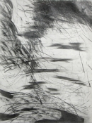 Lisa  Hamilton pencil drawings pencil