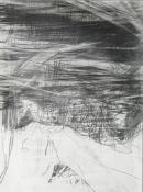 Lisa  Hamilton pencil drawings pencil