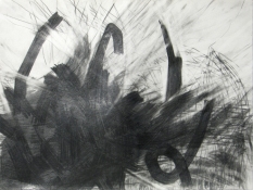 Lisa  Hamilton pencil drawings pencil